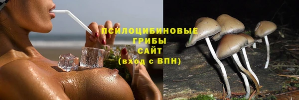 прущая мука Абдулино